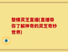 整棵灵芝直播(直播带你了解神奇的灵芝奇妙世界)