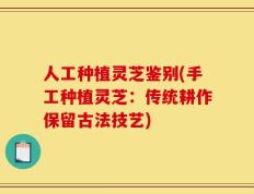人工种植灵芝鉴别(手工种植灵芝：传统耕作保留古法技艺)