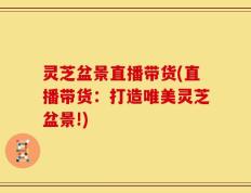 灵芝盆景直播带货(直播带货：打造唯美灵芝盆景!)