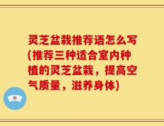 灵芝盆栽推荐语怎么写(推荐三种适合室内种植的灵芝盆栽，提高空气质量，滋养身体)