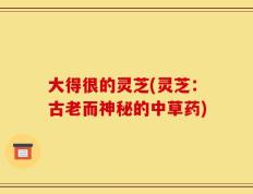 大得很的灵芝(灵芝：古老而神秘的中草药)