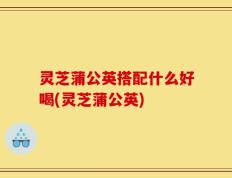 灵芝蒲公英搭配什么好喝(灵芝蒲公英)