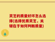 灵芝的质量好坏怎么选择(选择优质灵芝，关键在于如何判断质量)