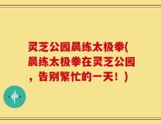 灵芝公园晨练太极拳(晨练太极拳在灵芝公园，告别繁忙的一天！)