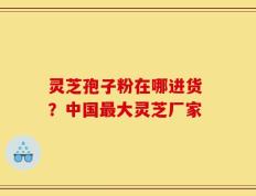 灵芝孢子粉在哪进货 ？中国最大灵芝厂家