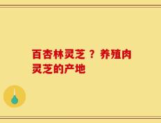 百杏林灵芝 ？养殖肉灵芝的产地