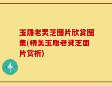 玉雕老灵芝图片欣赏图集(精美玉雕老灵芝图片赏析)