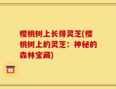 樱桃树上长得灵芝(樱桃树上的灵芝：神秘的森林宝藏)