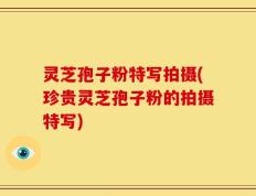 灵芝孢子粉特写拍摄(珍贵灵芝孢子粉的拍摄特写)