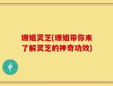 珊姐灵芝(珊姐带你来了解灵芝的神奇功效)