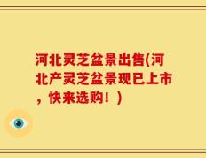 河北灵芝盆景出售(河北产灵芝盆景现已上市，快来选购！)