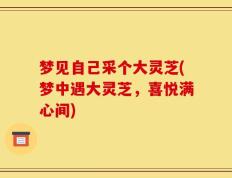 梦见自己采个大灵芝(梦中遇大灵芝，喜悦满心间)