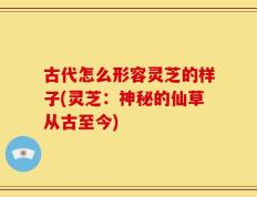 古代怎么形容灵芝的样子(灵芝：神秘的仙草从古至今)