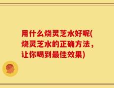 用什么烧灵芝水好呢(烧灵芝水的正确方法，让你喝到最佳效果)
