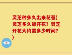灵芝种多久出来花苞(灵芝多久能开花？灵芝开花大约需多少时间？)