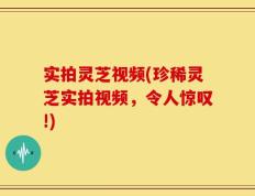 实拍灵芝视频(珍稀灵芝实拍视频，令人惊叹!)