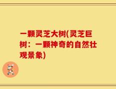 一颗灵芝大树(灵芝巨树：一颗神奇的自然壮观景象)