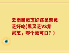 云南黑灵芝好还是紫灵芝好吃(黑灵芝VS紫灵芝，哪个更可口？)
