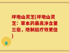 坪地山灵芝(坪地山灵芝：草本药最高净含量三倍，炮制后疗效更佳)