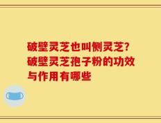 破壁灵芝也叫侧灵芝？破壁灵芝孢子粉的功效与作用有哪些