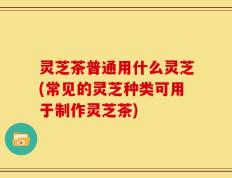 灵芝茶普通用什么灵芝(常见的灵芝种类可用于制作灵芝茶)