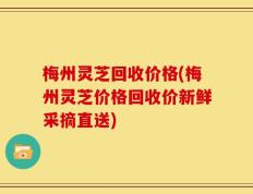 梅州灵芝回收价格(梅州灵芝价格回收价新鲜采摘直送)