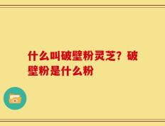 什么叫破壁粉灵芝？破壁粉是什么粉