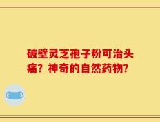 破壁灵芝孢子粉可治头痛？神奇的自然药物？