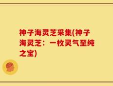 神子海灵芝采集(神子海灵芝：一枚灵气至纯之宝)