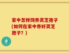 家中怎样饲养灵芝孢子(如何在家中养好灵芝孢子？)
