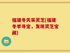 福建冬天采灵芝(福建冬季寻宝，发现灵芝宝藏)