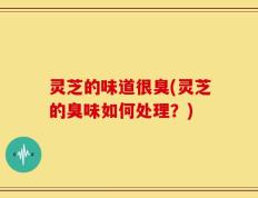 灵芝的味道很臭(灵芝的臭味如何处理？)