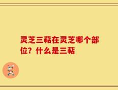 灵芝三萜在灵芝哪个部位？什么是三萜