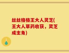 丝丝格格王大人灵芝(王大人草药收获，灵芝成主角)