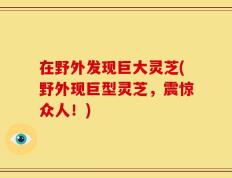 在野外发现巨大灵芝(野外现巨型灵芝，震惊众人！)