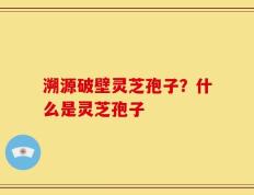 溯源破壁灵芝孢子？什么是灵芝孢子