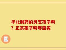 华北制药的灵芝孢子粉？正宗孢子粉哪里买