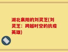 湖北襄阳的刘灵芝(刘灵芝：跨越时空的抗疫英雄)