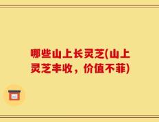 哪些山上长灵芝(山上灵芝丰收，价值不菲)