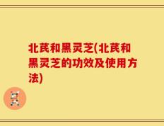 北芪和黑灵芝(北芪和黑灵芝的功效及使用方法)