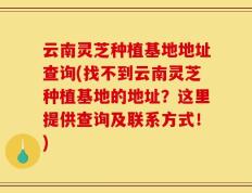 云南灵芝种植基地地址查询(找不到云南灵芝种植基地的地址？这里提供查询及联系方式！)