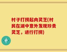 村子打捞起肉灵芝(村民在湖中意外发现珍贵灵芝，进行打捞)
