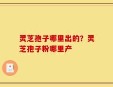 灵芝孢子哪里出的？灵芝孢子粉哪里产