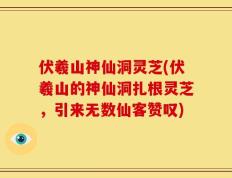 伏羲山神仙洞灵芝(伏羲山的神仙洞扎根灵芝，引来无数仙客赞叹)