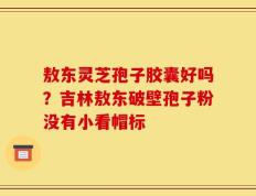 敖东灵芝孢子胶囊好吗？吉林敖东破壁孢子粉没有小看帽标