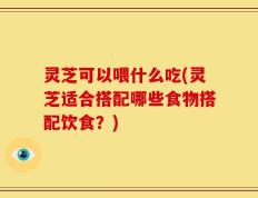 灵芝可以喂什么吃(灵芝适合搭配哪些食物搭配饮食？)