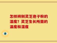 怎样辨别灵芝孢子粉的湿度？灵芝生长所需的温度和湿度