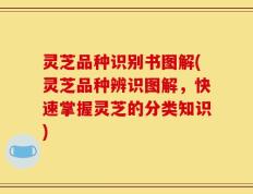 灵芝品种识别书图解(灵芝品种辨识图解，快速掌握灵芝的分类知识)
