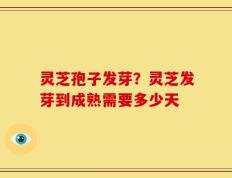 灵芝孢子发芽？灵芝发芽到成熟需要多少天
