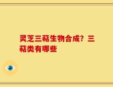 灵芝三萜生物合成？三萜类有哪些
